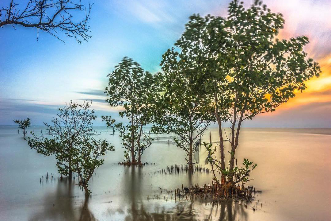 Pantai Amal Pesona Pasir Cokelat Di Kalimantan Utara