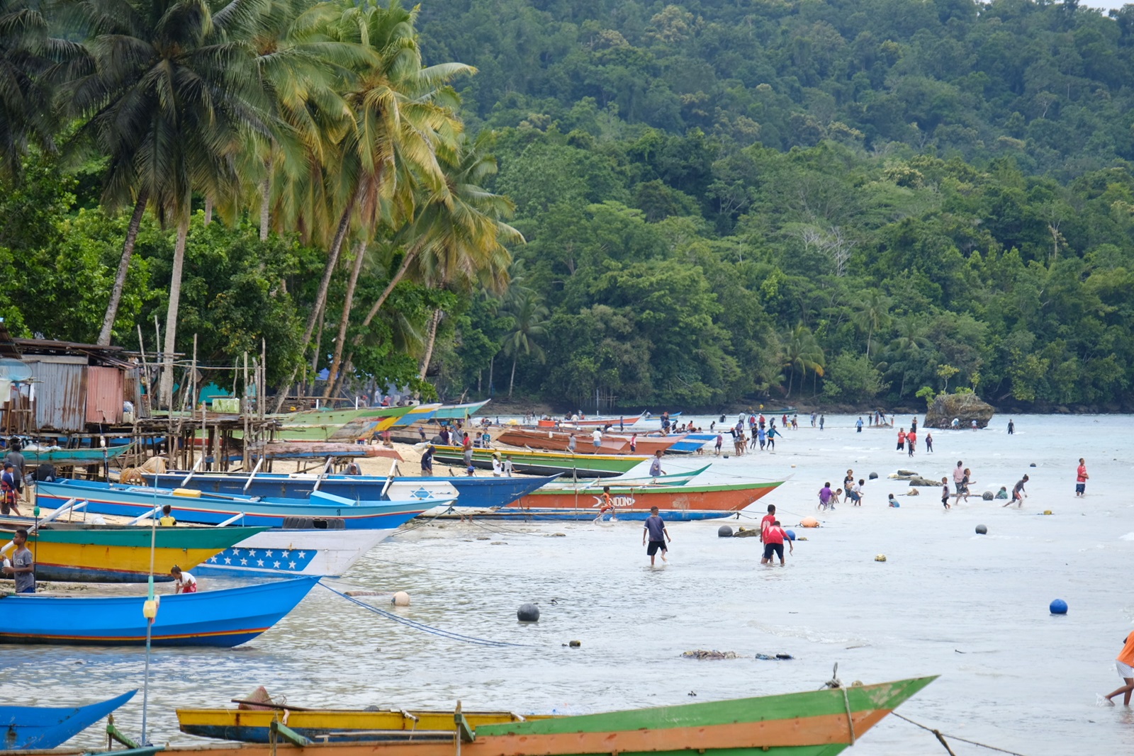 Alasan 20ke 20papua 202 Jpeg