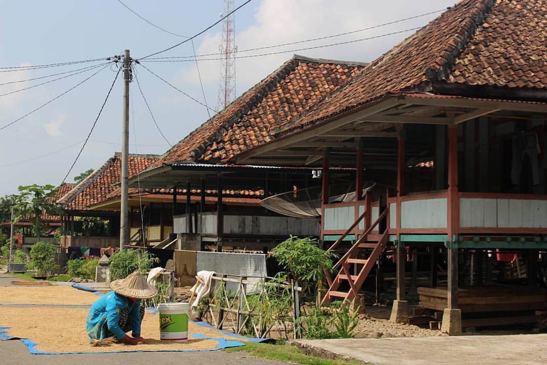 Nuwo Sesat Rumah  Adat  Lampung  Tangguh Tahan Gempa 