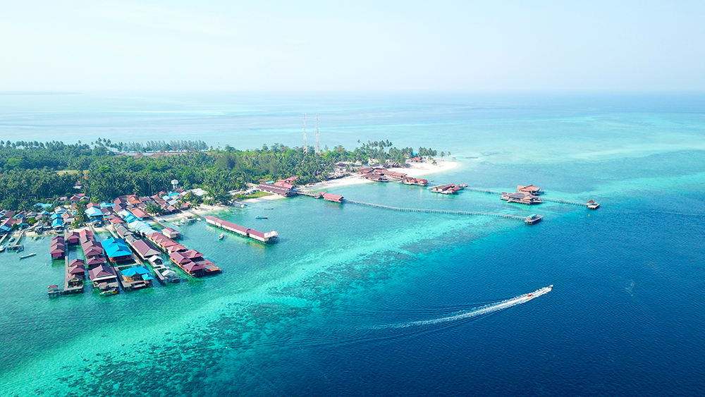 Berau Berenang Bersama Hiu Tutul Dan Ubur Ubur Pesona