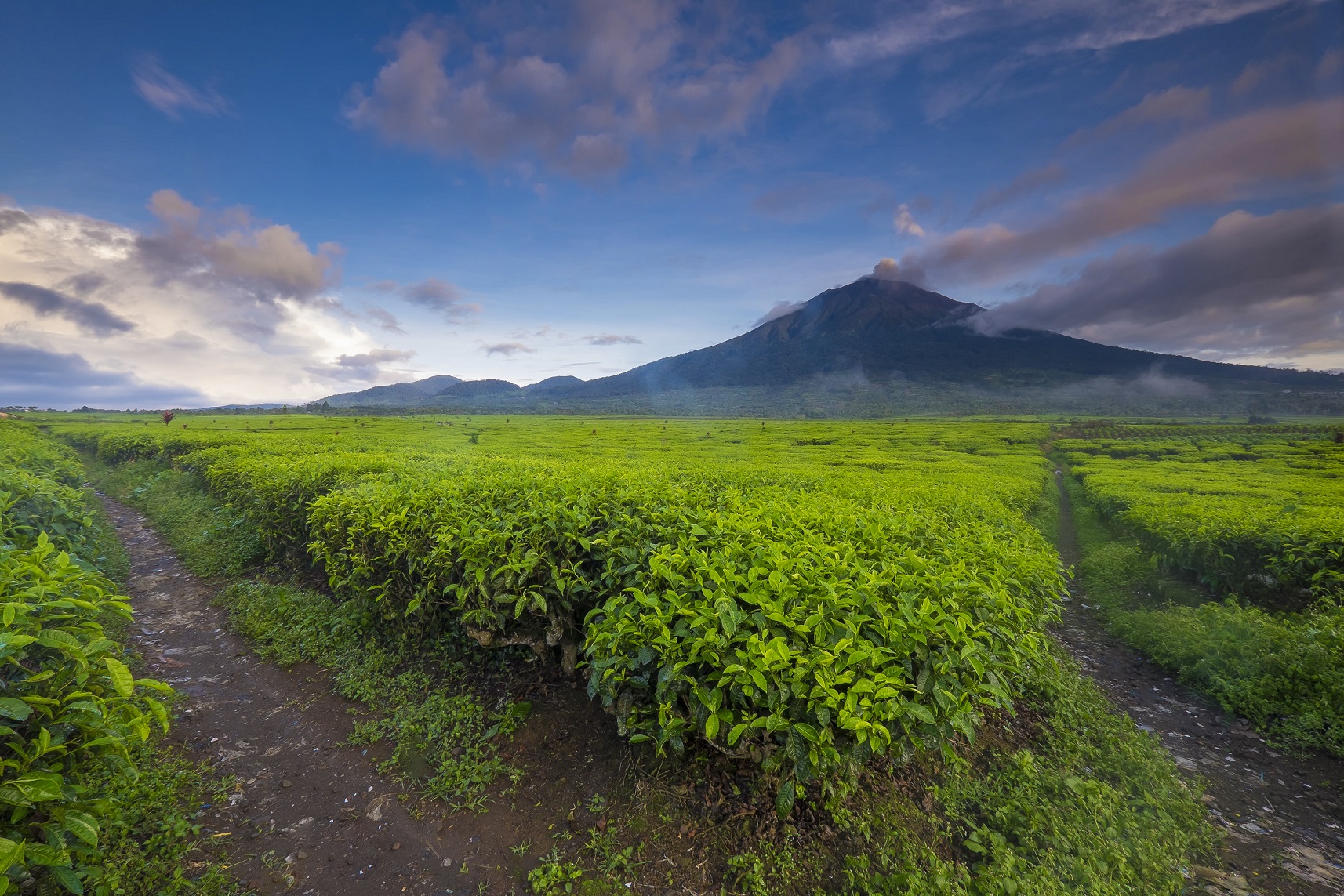 Gunung Kerinci