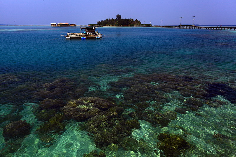 5 Taman Nasional Di Pulau Jawa Ini Bikin Malas Pulang