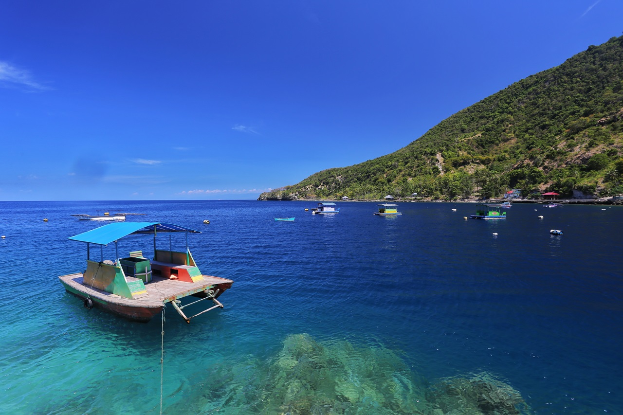 Surga Diving Dan Terumbu Karang Unik Di Pantai Olele