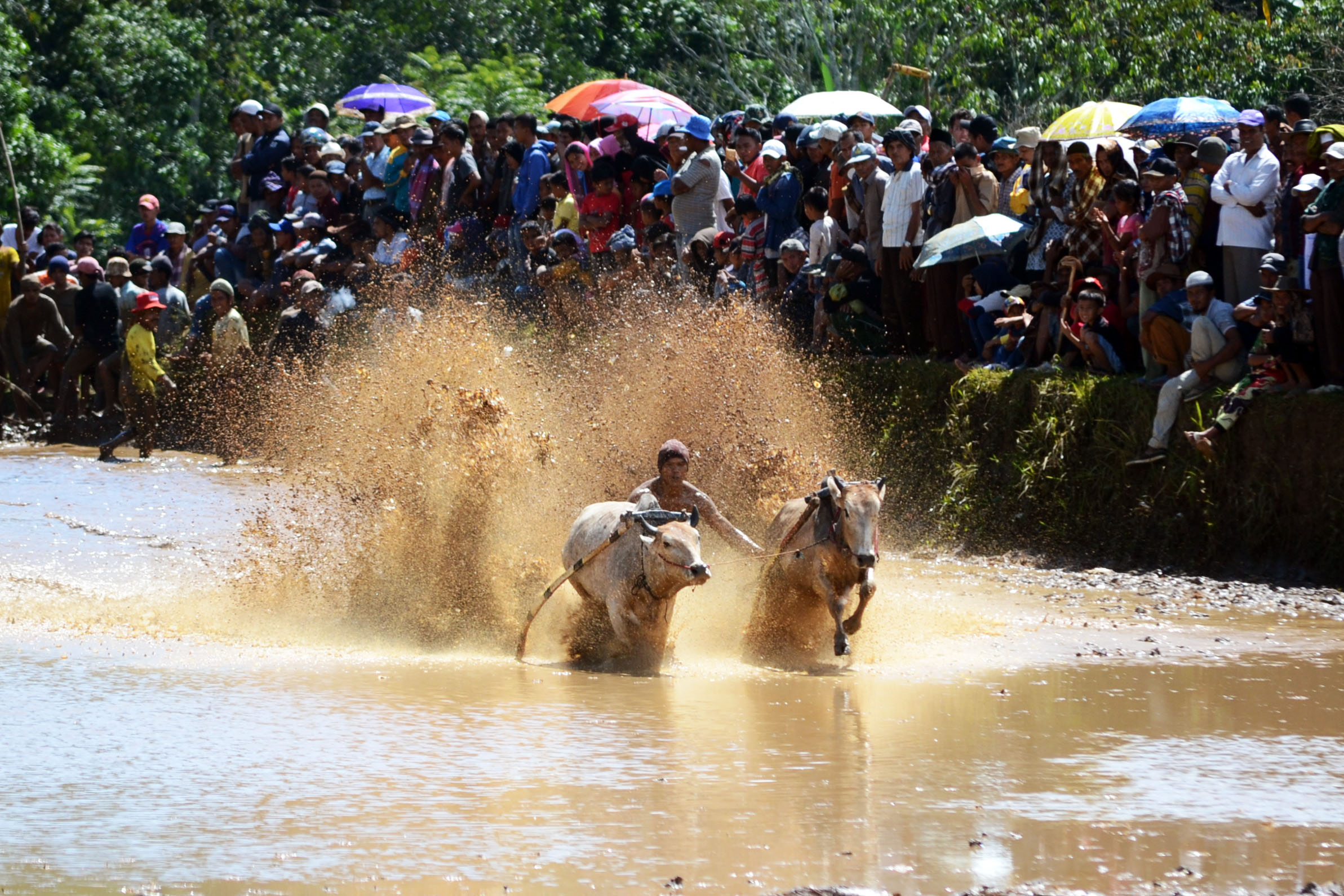 Batusangkar Kota Budaya Di Sumatera Barat Pesona Indonesia