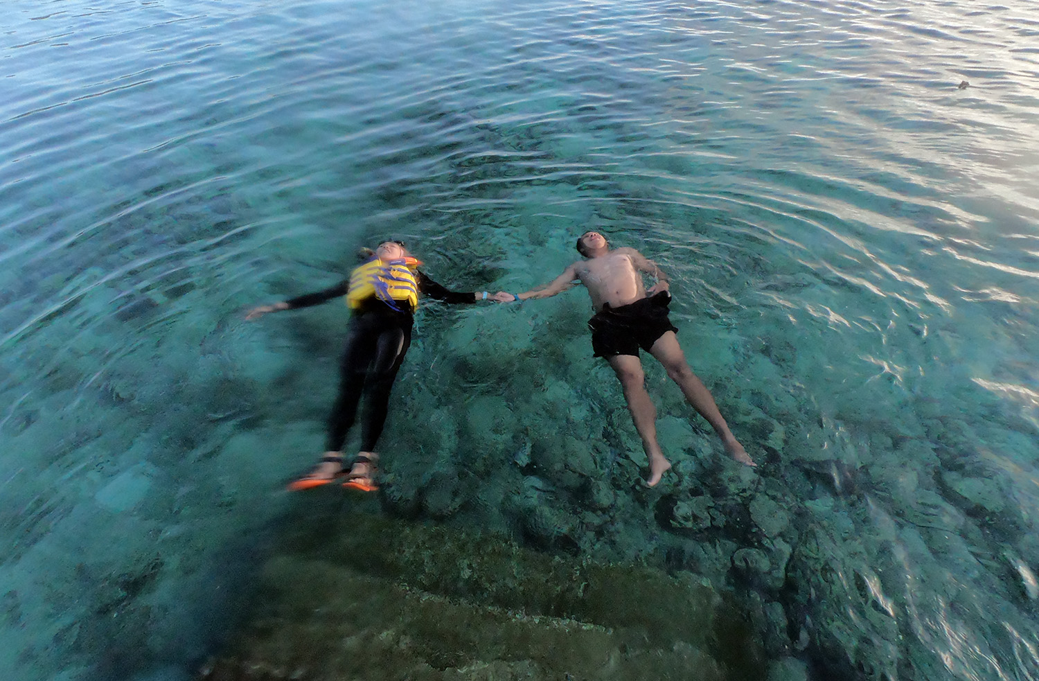 5 Spot Snorkeling Memukau Di Wakatobi Pesona Indonesia