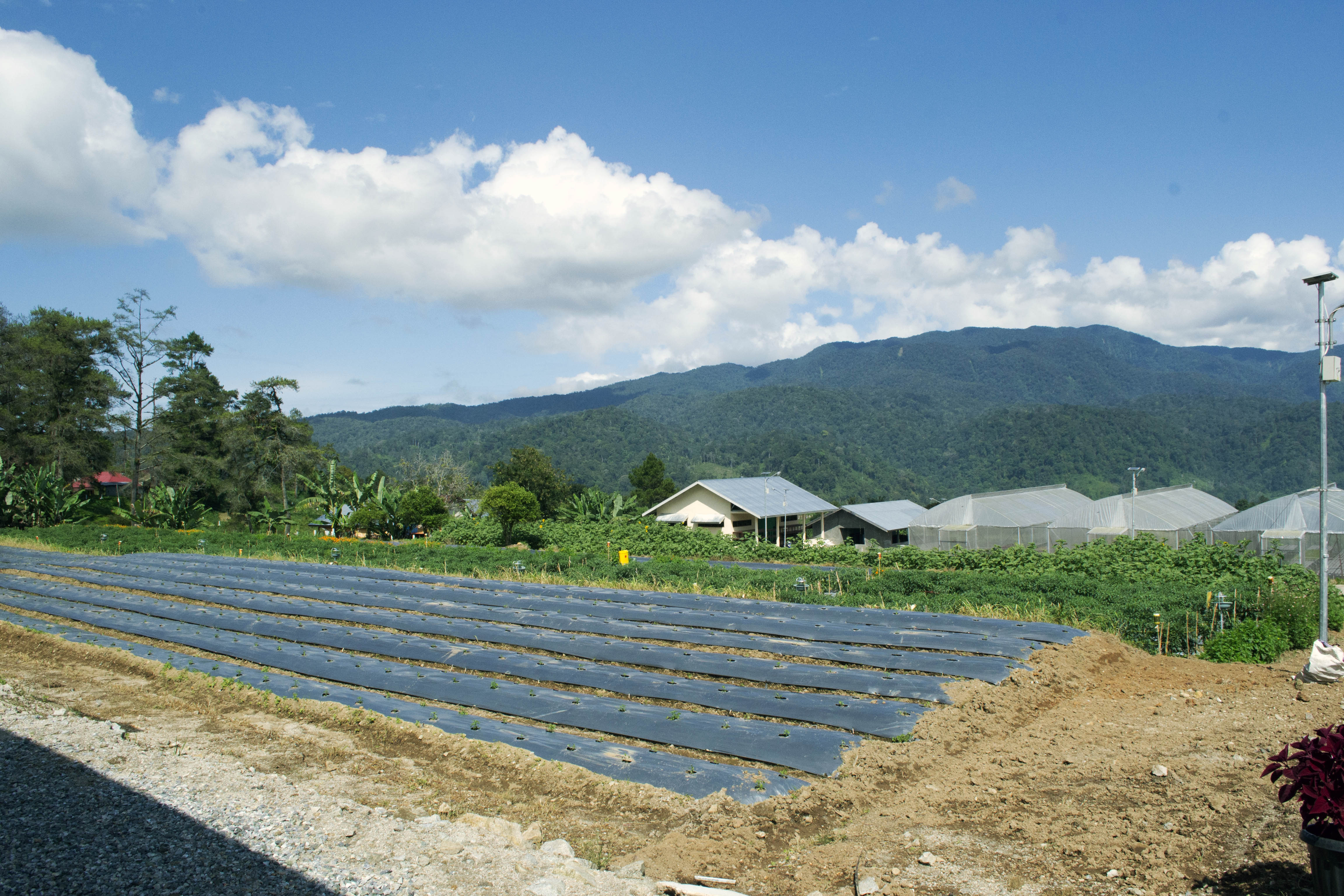 Taman 20sains 20solok 20 20 6 Jpg