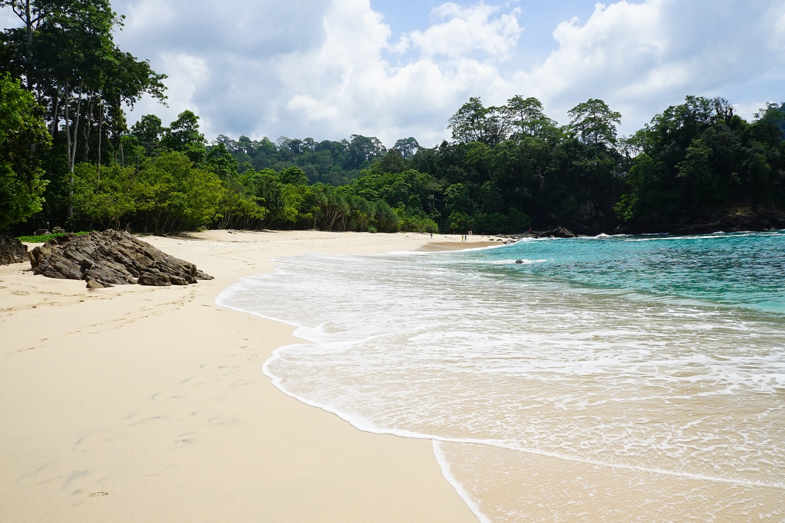 Pantai Teluk Hijau Surga Yang Tersembunyi Di Banyuwangi