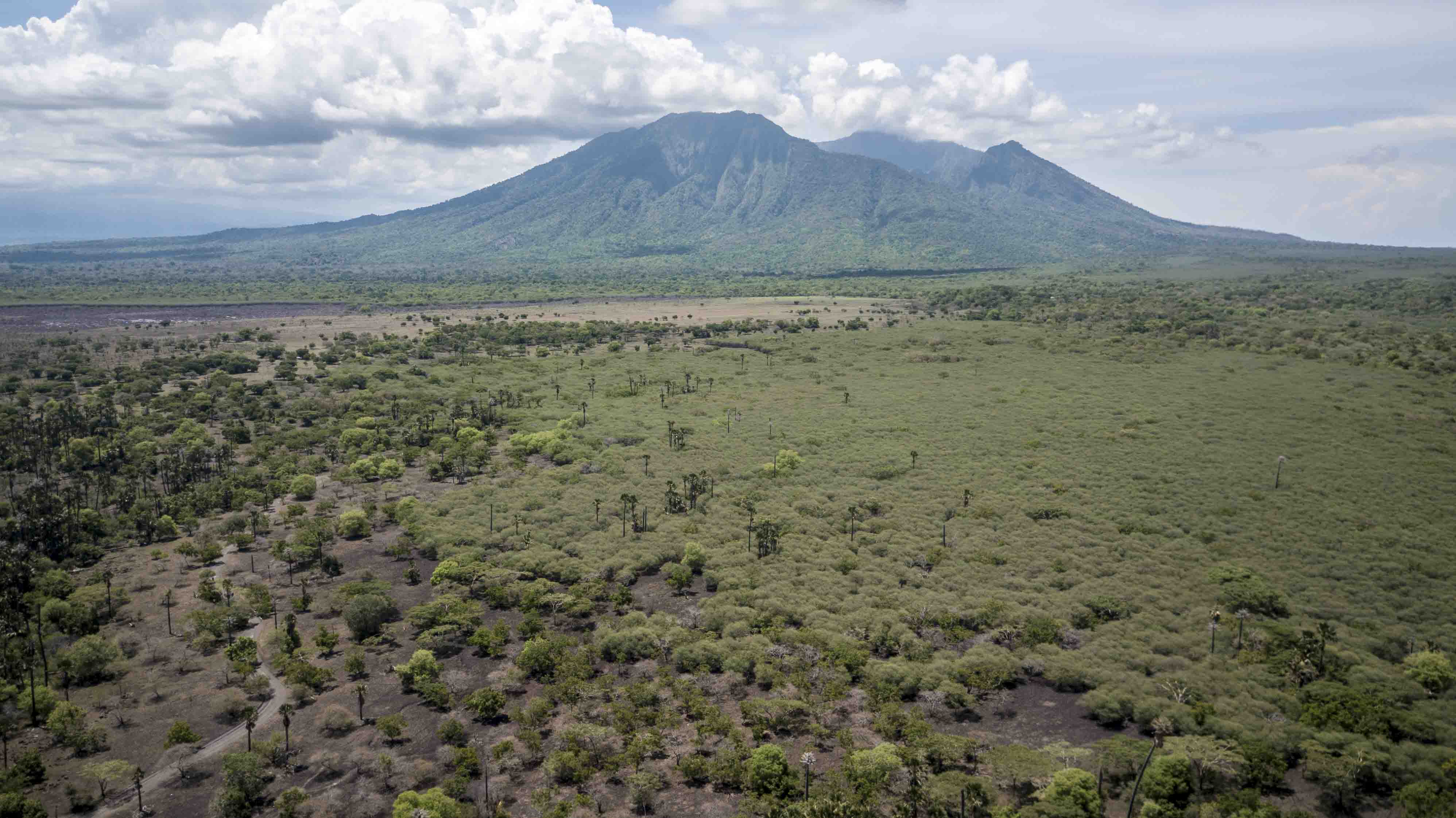 Taman Nasional Baluran Bak Sabana Afrika Nya Pulau Jawa