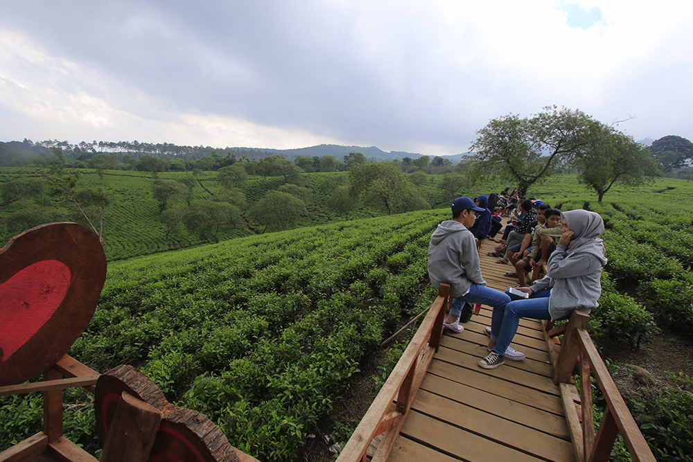 Jalan Jalan Di Kebun Teh Bukit Kuneer Pesona Indonesia