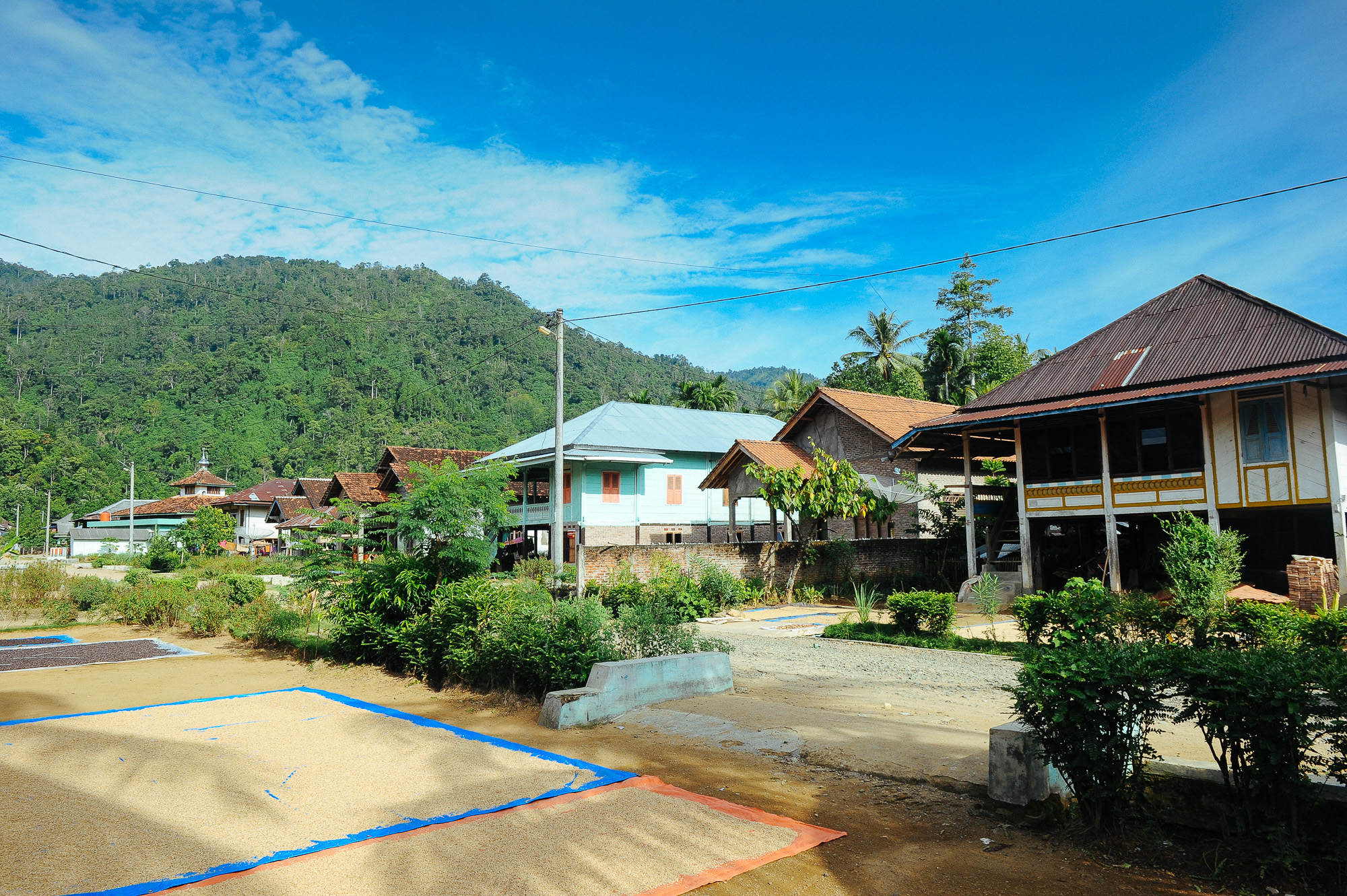 80 Gambar Rumah Nuwo Sesat Terbaik Gambar Rumah