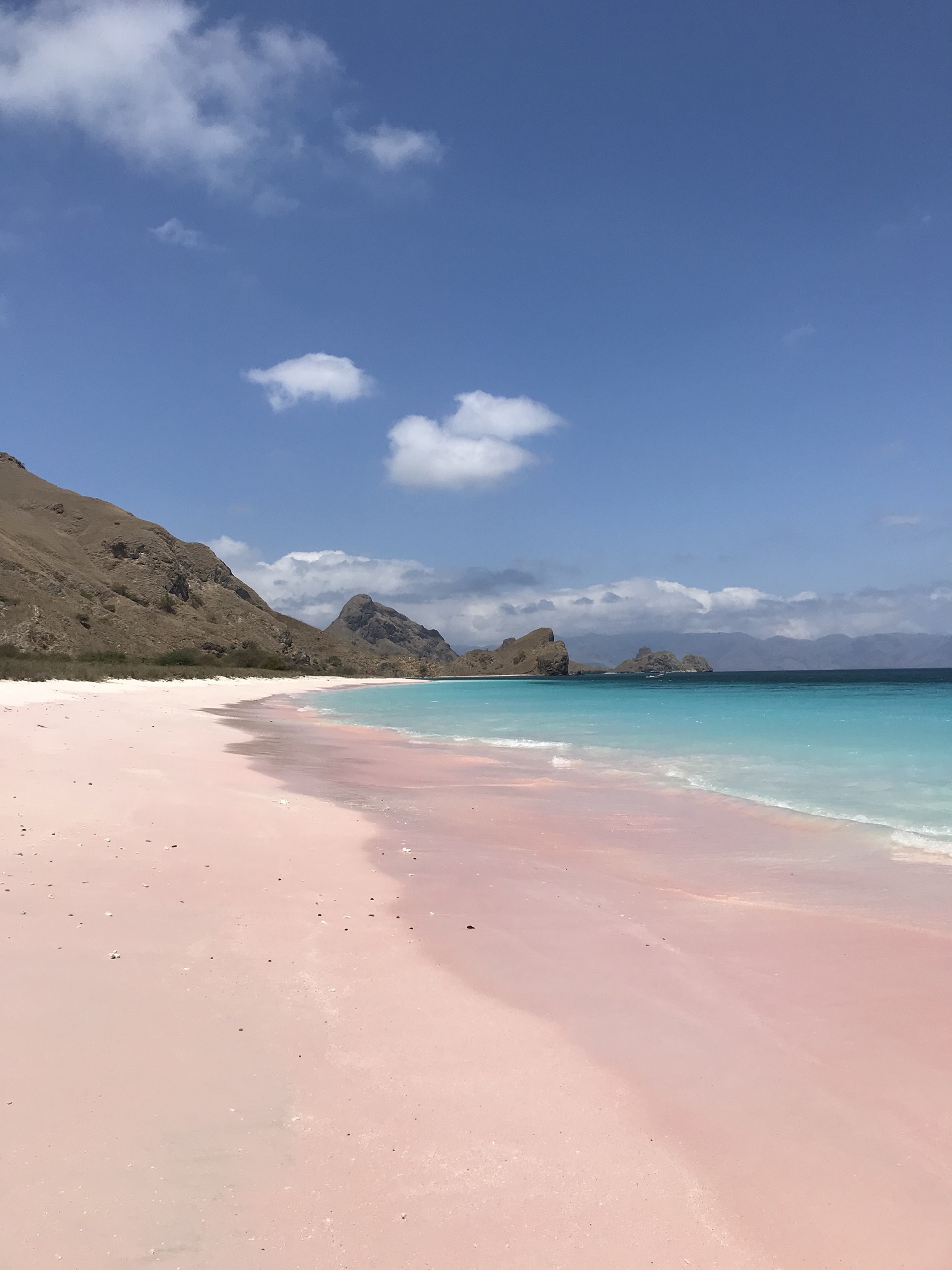 Warna Ombre Pink Biru Pantai Merah Muda Yang Manjakan Mata