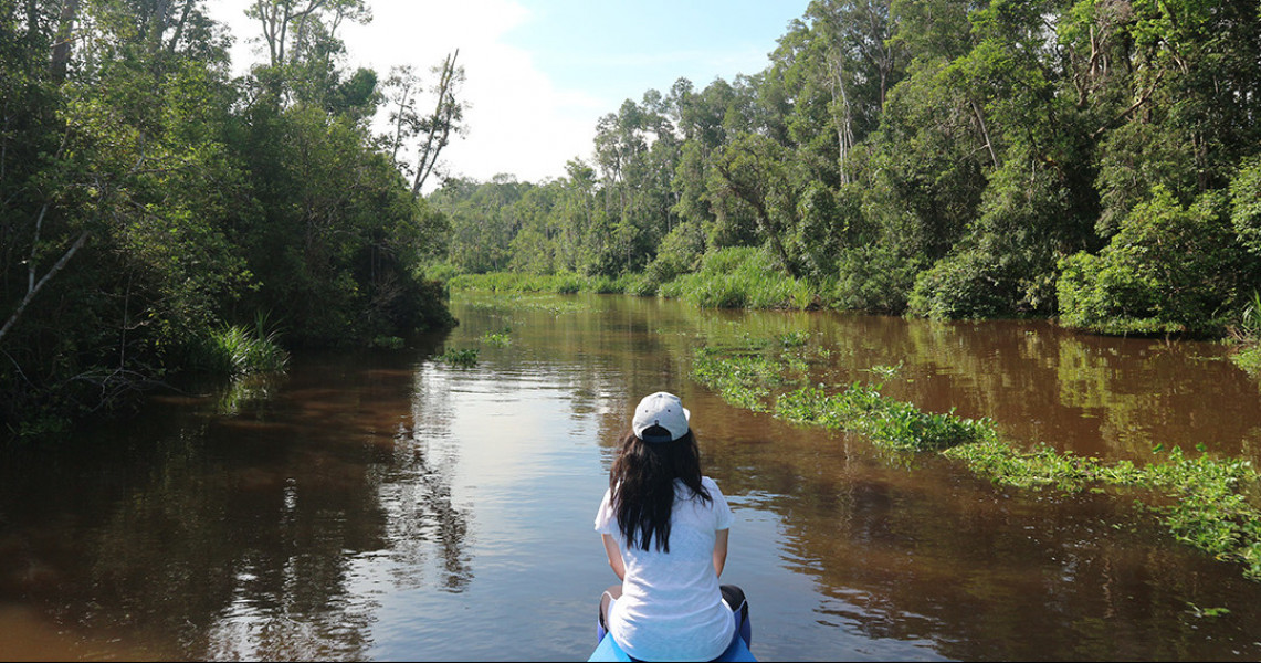 5 Hutan Wisata Terbaik Di Pulau Kalimantan Pesona Indonesia