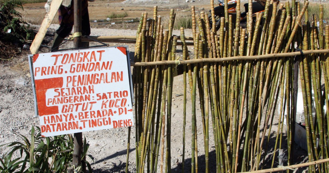 Bambu Pringgondani Bambu Khas Dieng Sekuat Gatot Kaca