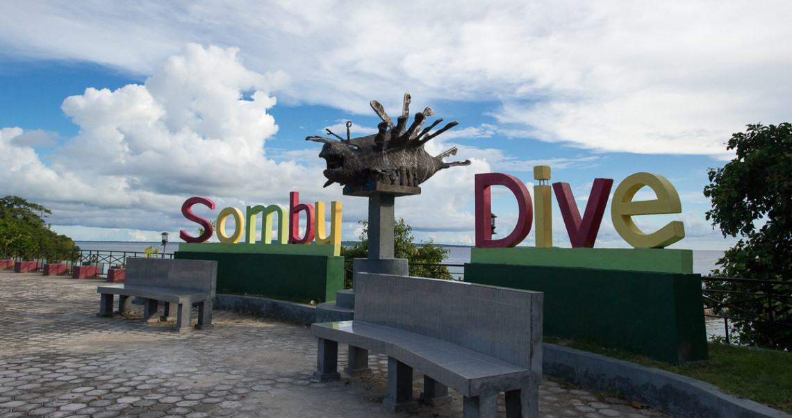 Bermain Dengan Ikan Ikan Cantik Di Sombu Dive Pesona Indonesia