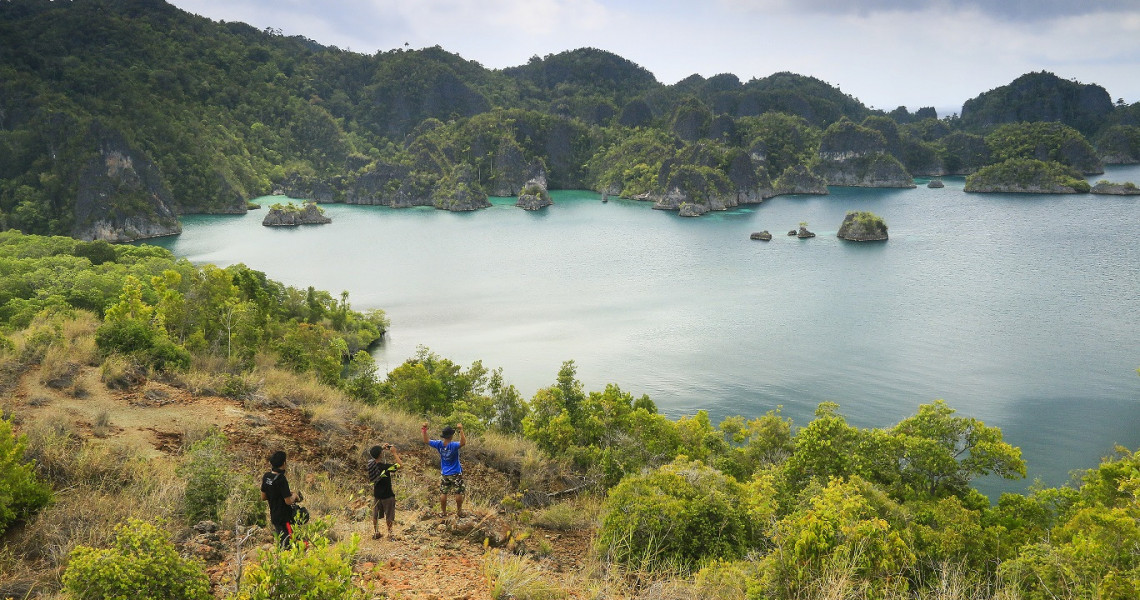 9800 Koleksi Lukisan Pemandangan Hutan Gundul Hd Gambar