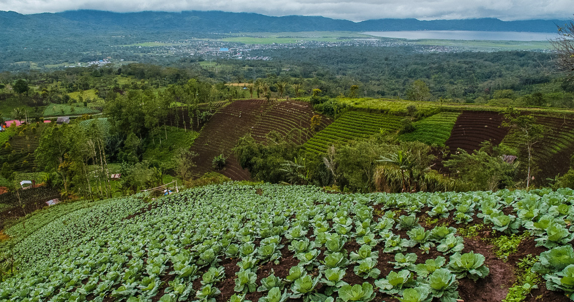 Desa Rurukan Tomohon Mirip Suasana Di Eropa Pesona Indonesia