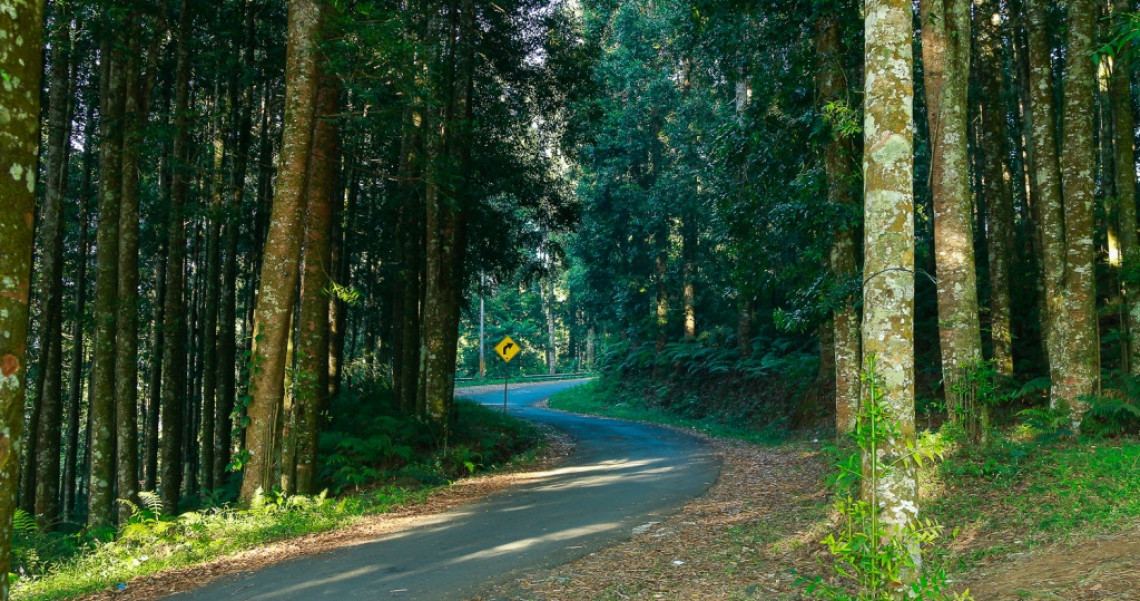 Hiking Santai Di Sukabumi Ini Pilihan Lokasinya Pesona