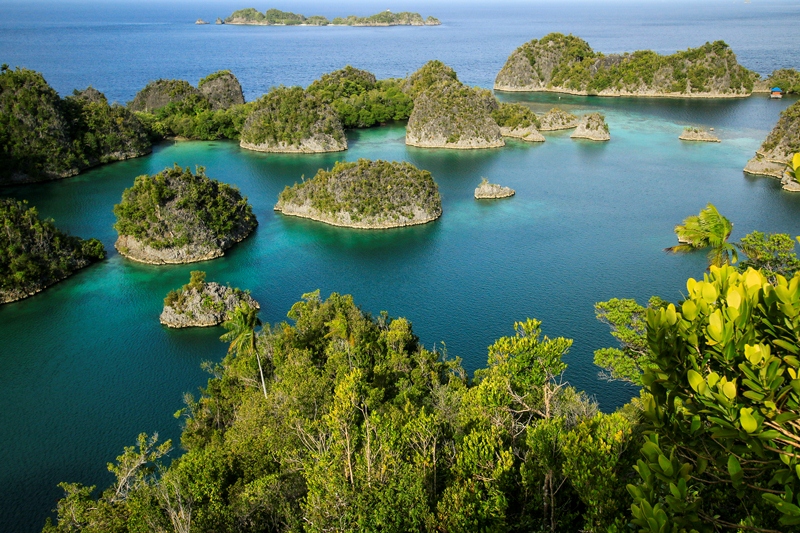 Papua Kepulauan Maluku Pesona Indonesia