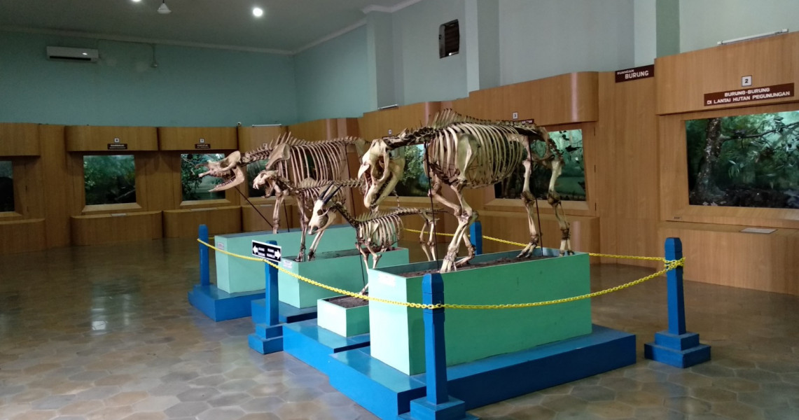 wisata Bogor yang murah
