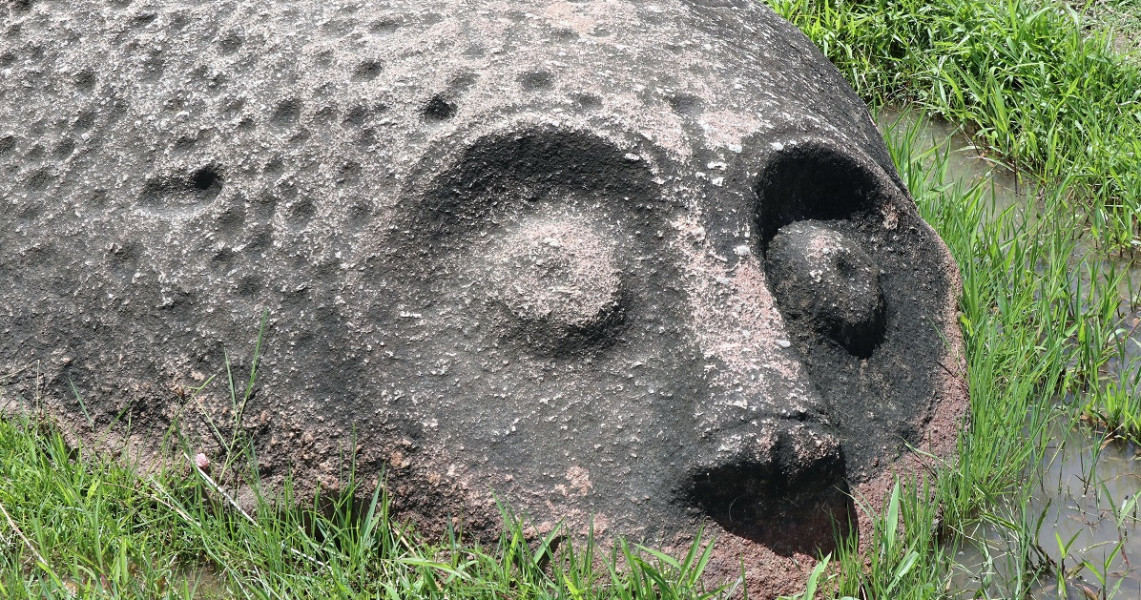 Melihat Situs Purbakala Di Taman Nasional Lore Lindu