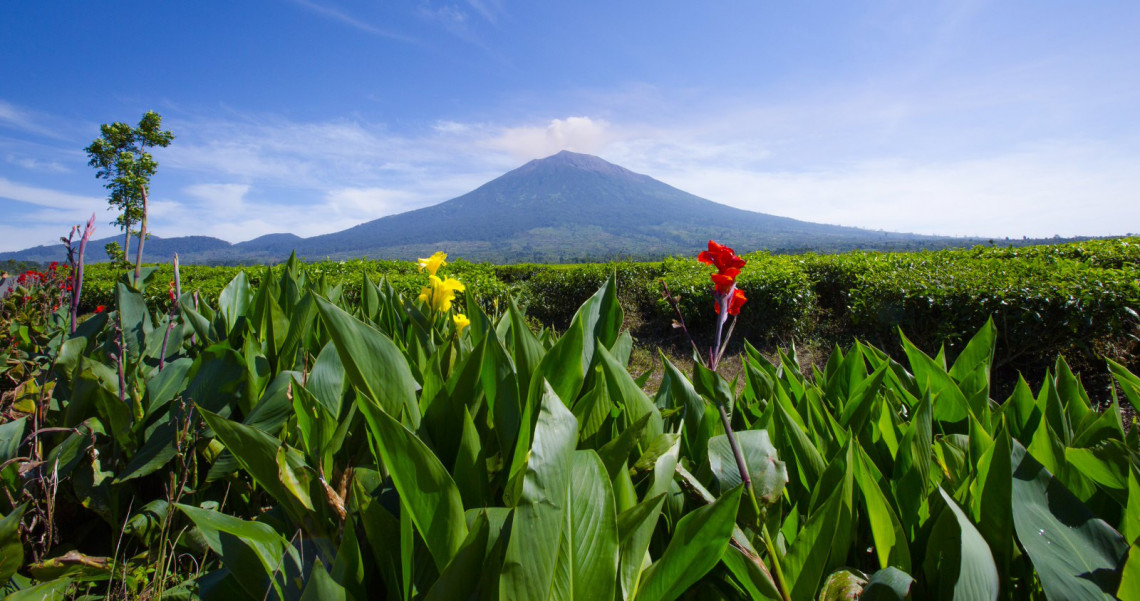 Mengakrabi Gunung Berapi Di Bumi Pertiwi Pesona Indonesia