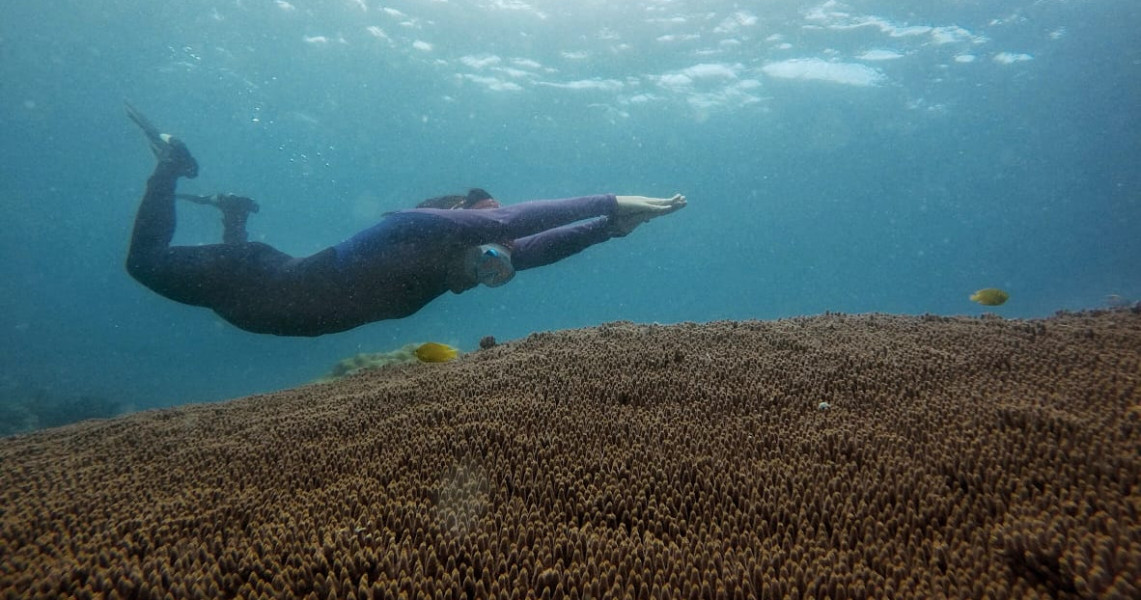 Menikmati Surga Snorkeling Di Pulau Kelapan Pesona Indonesia