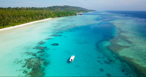 hewan langka di lombok Pantai Pantai di Indonesia yang Harus Dikunjungi Pesona 