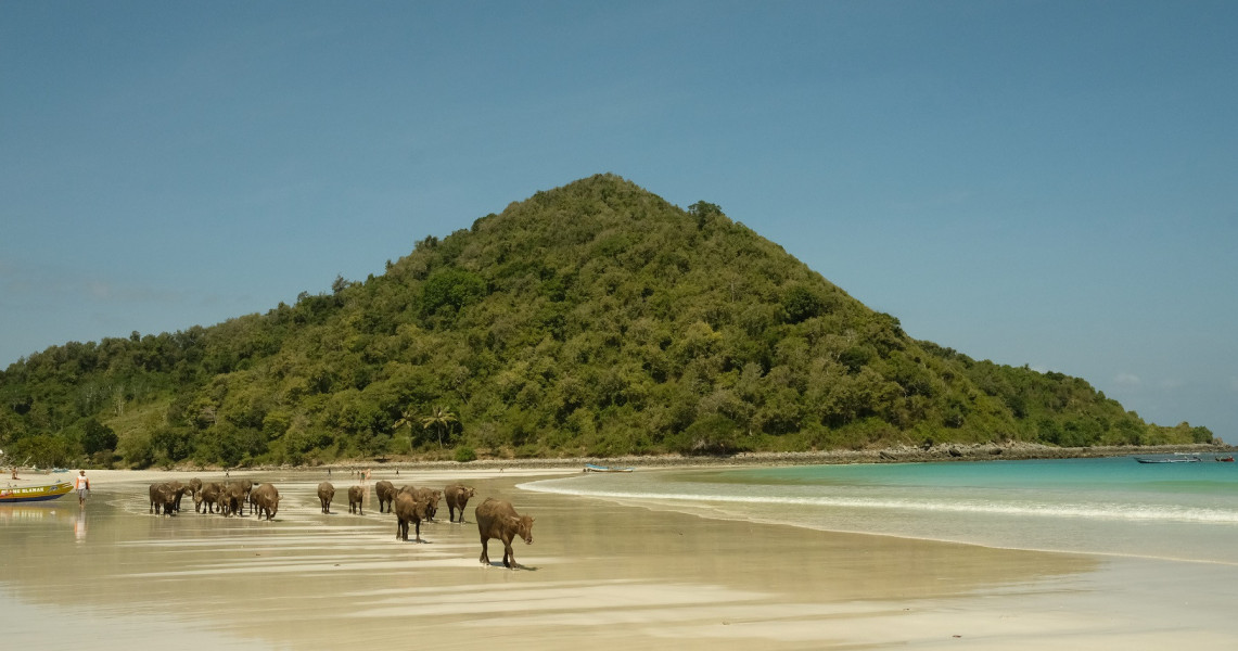 Pantai Selong Belanak Permata Cantik Di Lombok Tengah