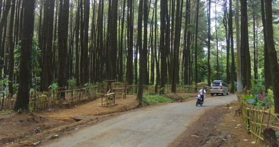 Sumber Air Panas Gunung Pancar Segar Dan Menyembuhkan