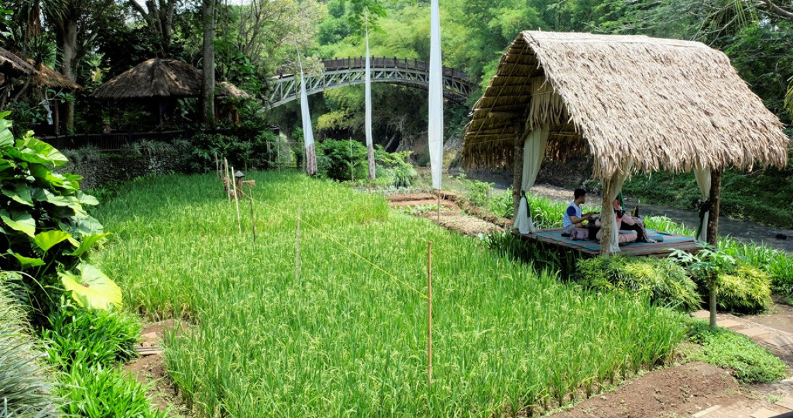 Taman Indie Makan Enak Di Tengah Alam Dan Tradisi Malang