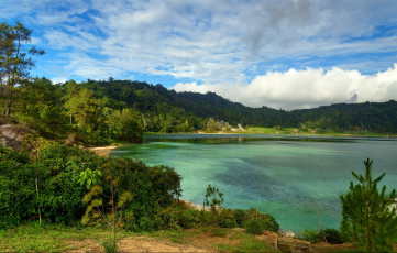 Petualangan Kuliner Sulawesi Utara Ikonik dan Sensasional 