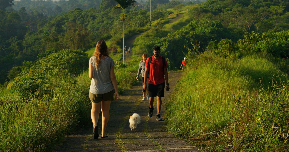 Trekking Di Bukit Campuhan Ubud Pesona Indonesia