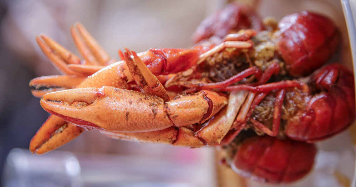 Udang Selingkuh Hidangan Andalan Papua Dari Lembah Baliem
