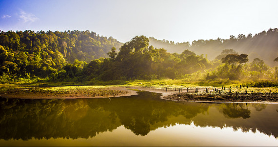 Wisata pegunungan cibodas